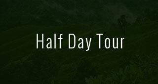 Half Day Tour